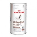 Royal Canin Babydog Milk.